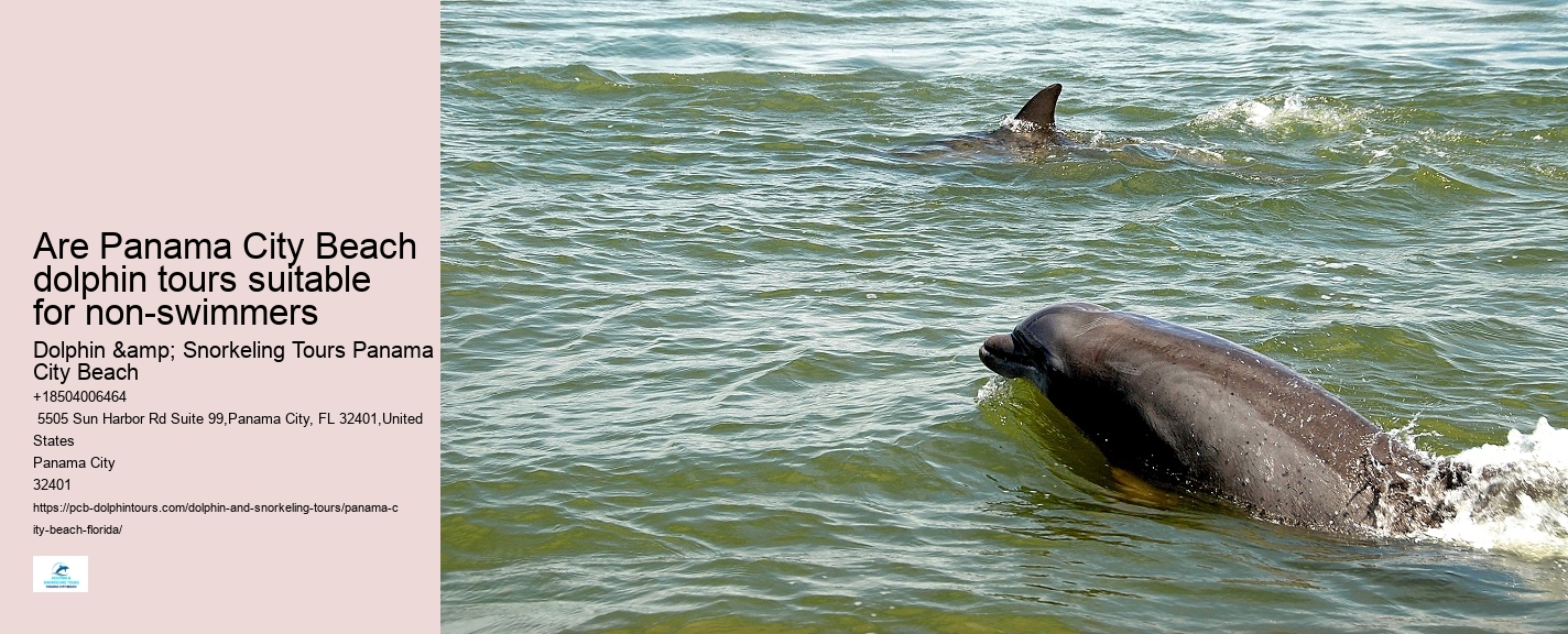 Are Panama City Beach dolphin tours suitable for non-swimmers