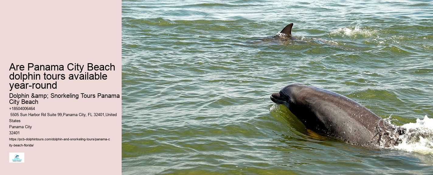 Panama City Dolphin Tours