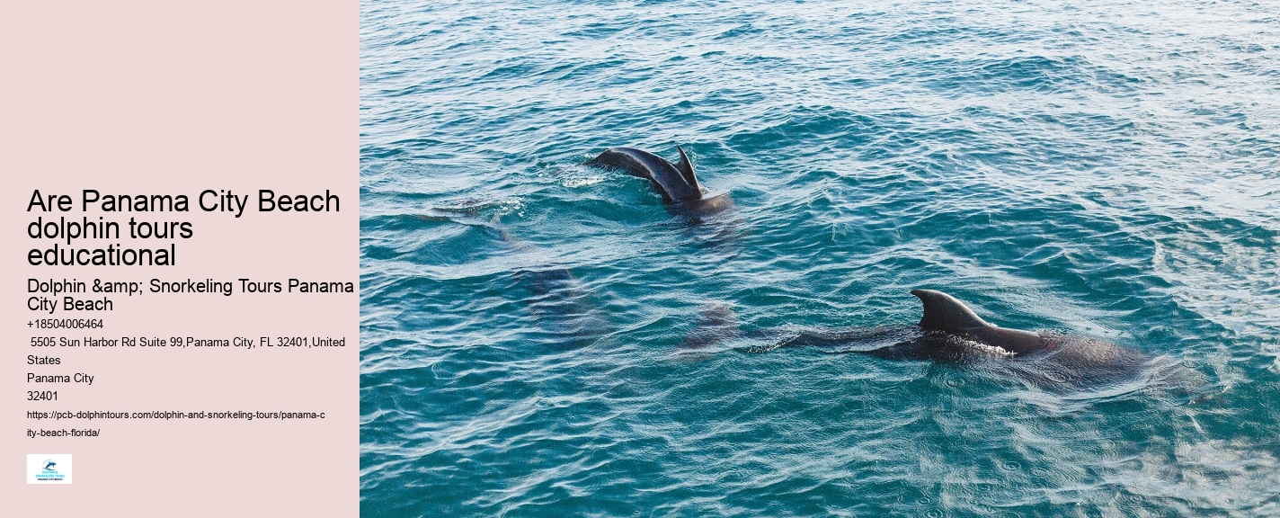 PCB Dolphin Encounters