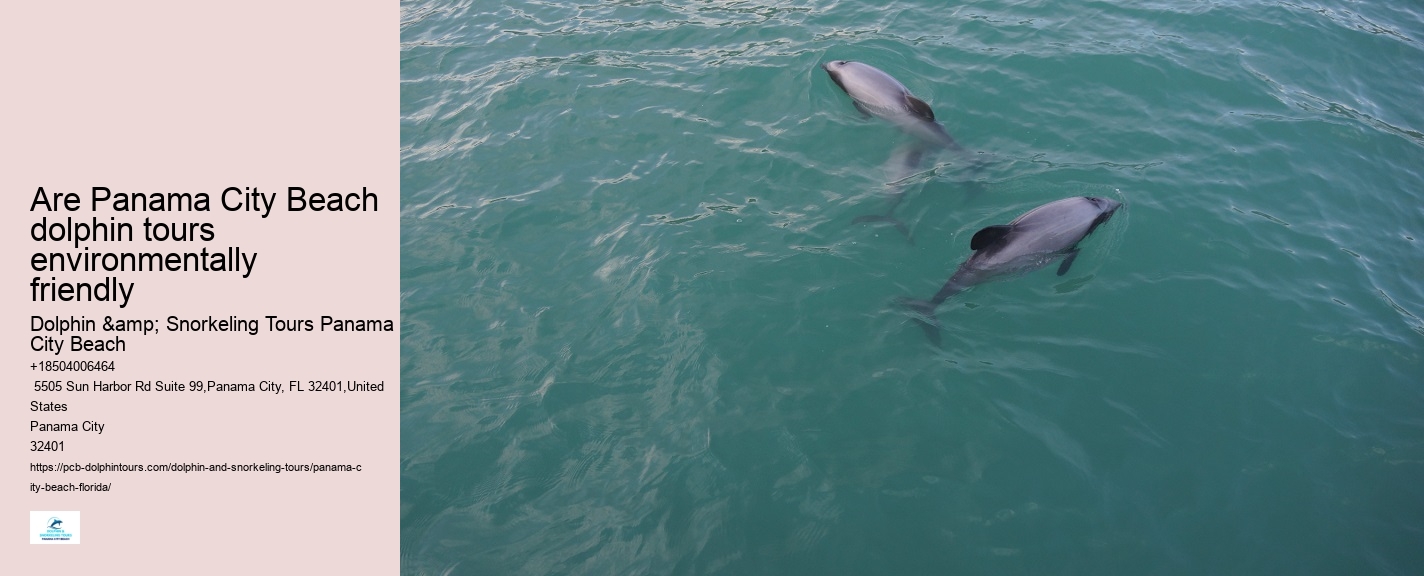 How Much Does It Cost To Swim With Dolphins In Florida