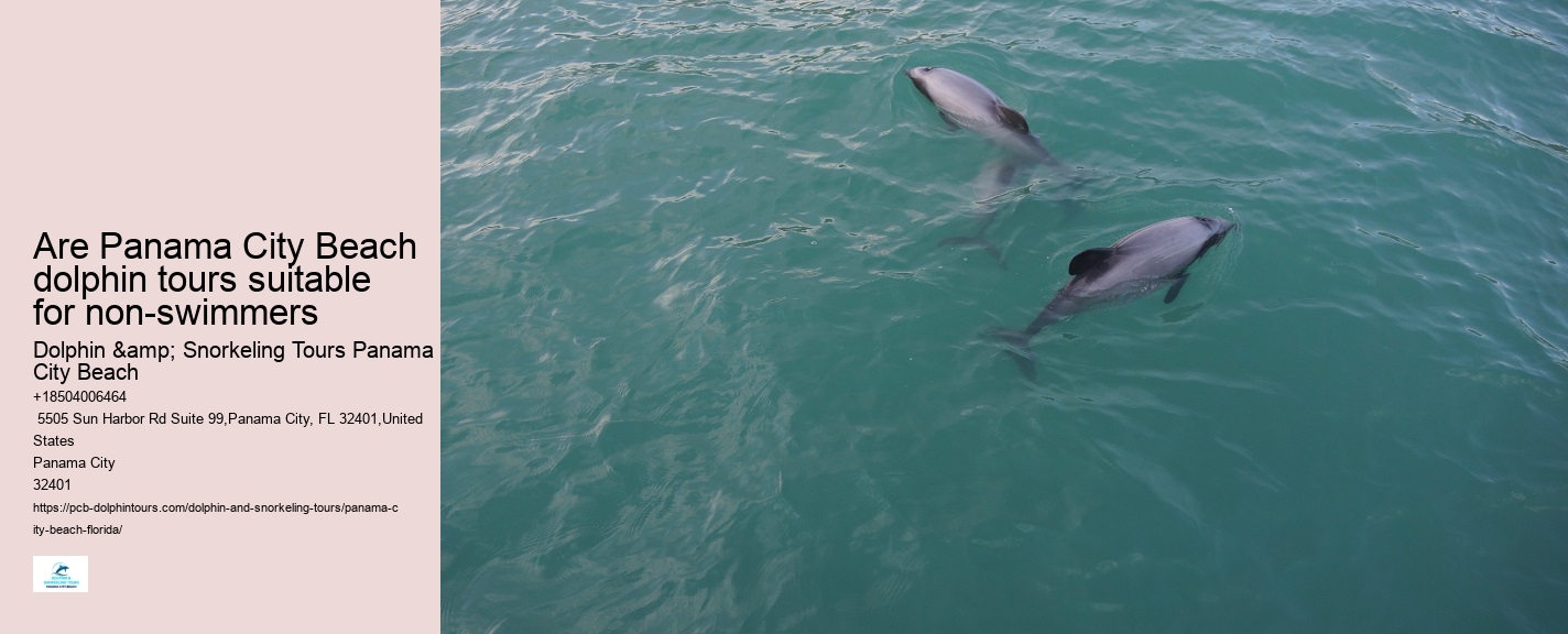 Panama City Beach Fl Dolphin Cruise