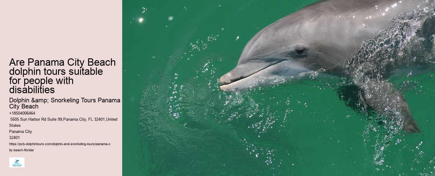 Panama City Beach Dolphin Swim
