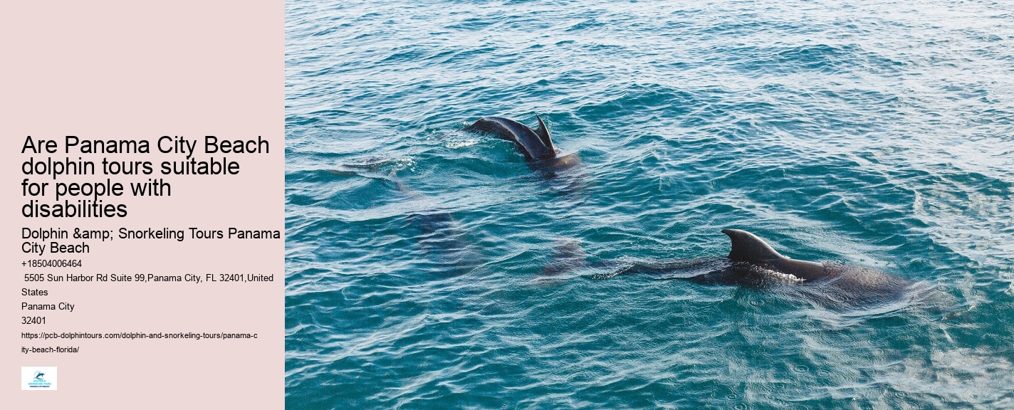 Panama City Beach dolphin expedition cruises