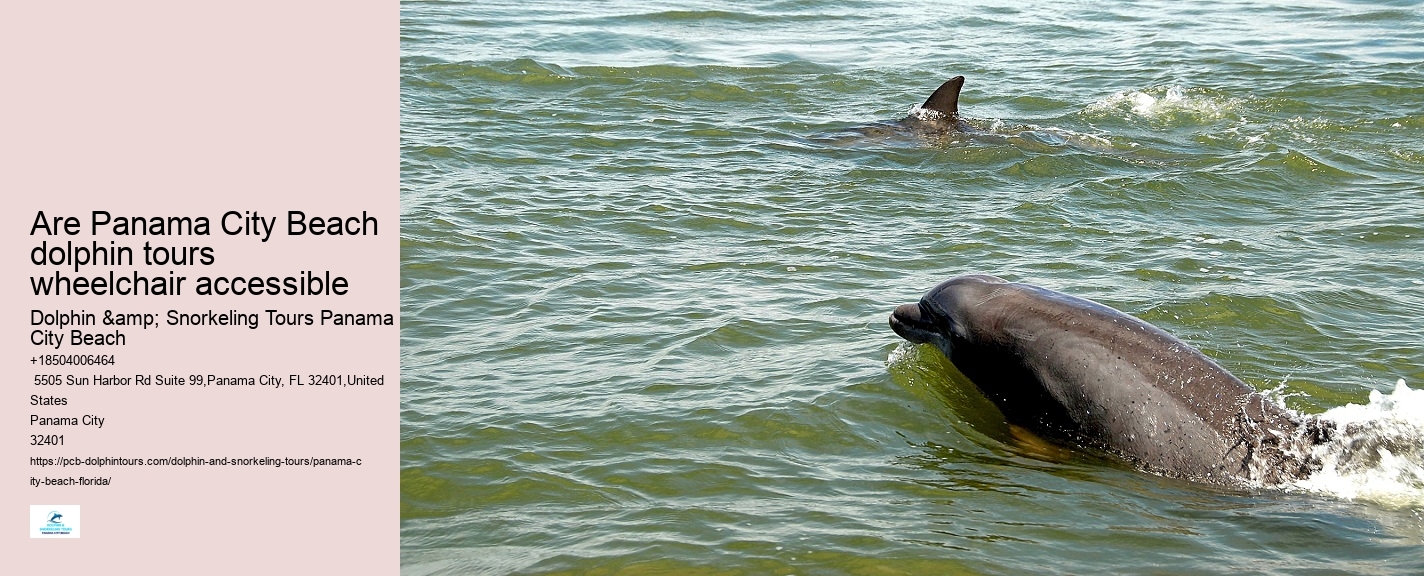 Are dolphin tours in Panama City Beach narrated by guides