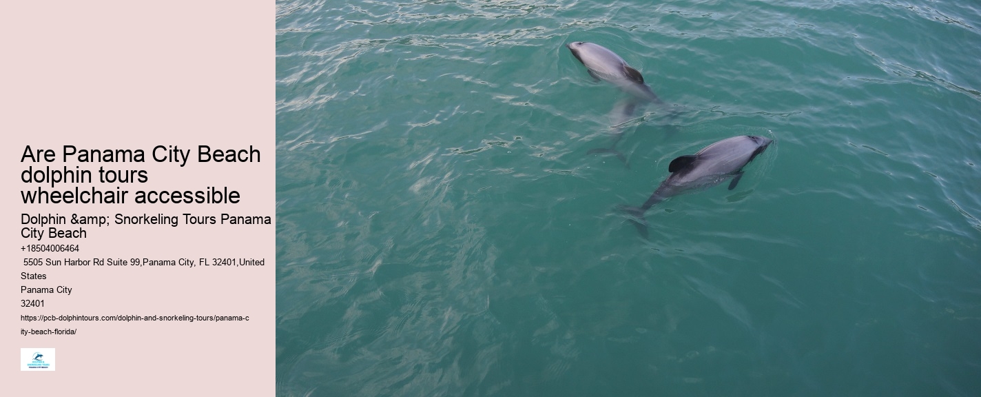 Dolphin Tours In Panama City Florida