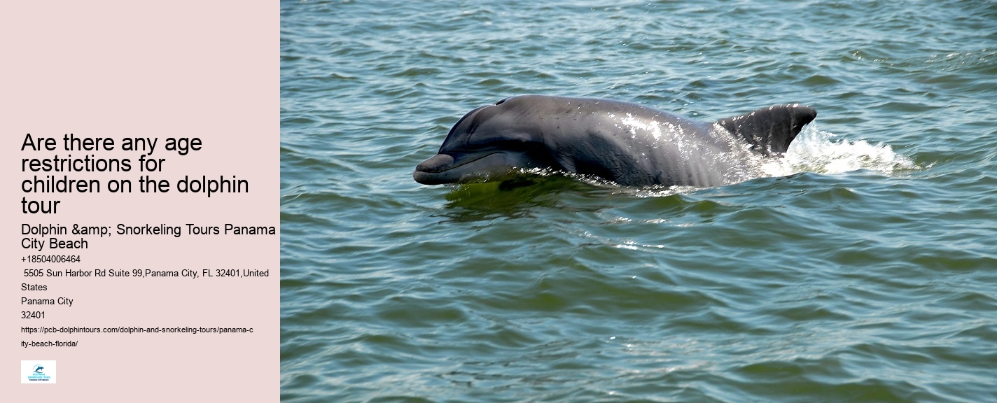 How Much Does It Cost To Swim With Dolphins In Panama City
