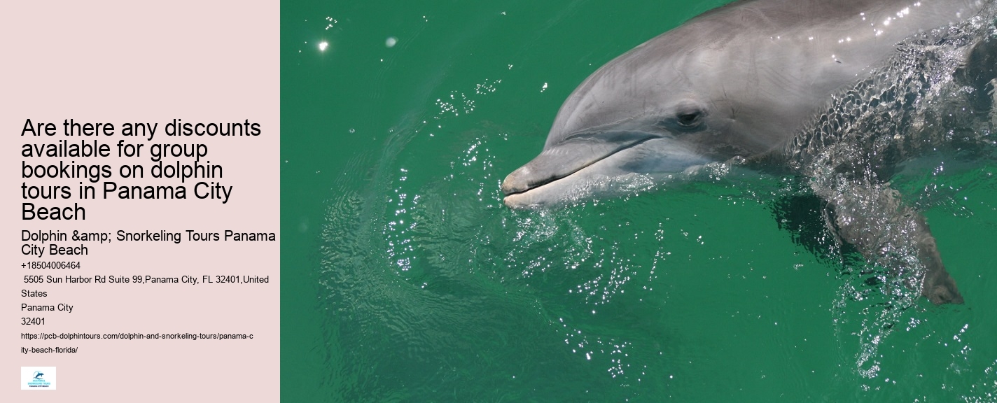 Panama City Beach Dolphin Adventure Trips