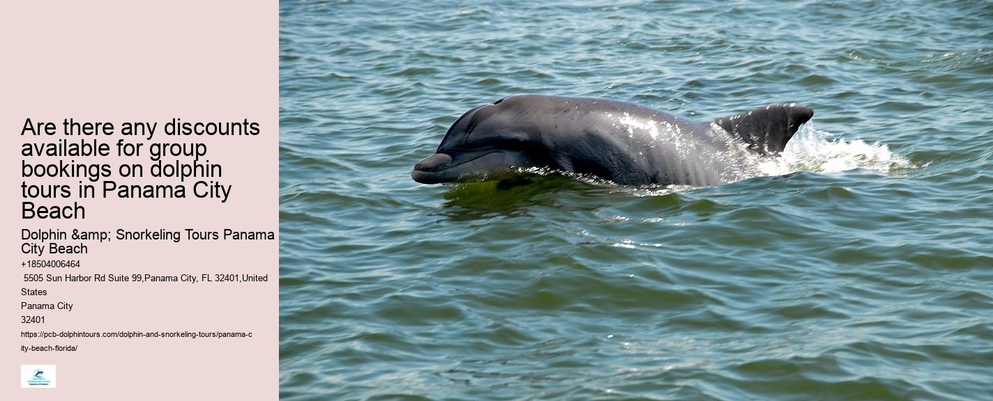 PCB Dolphin Tours