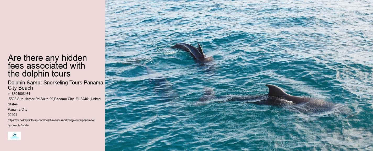 Dolphin tours in Panama City Beach