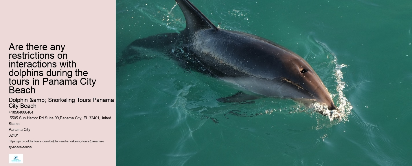 How Deep Is The Water When You Swim With Dolphins