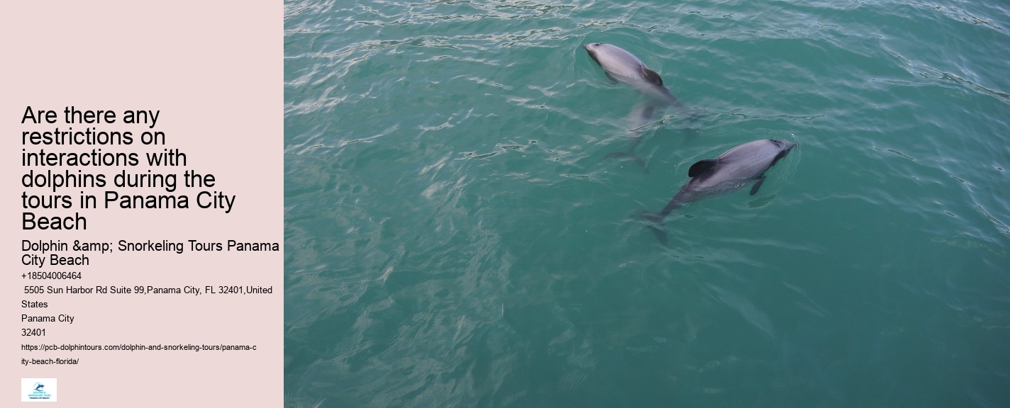 Panama City Beach dolphin excursion trips