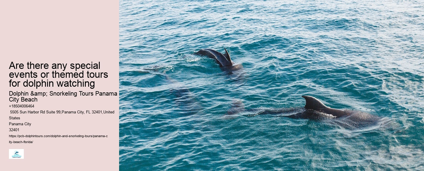 Are dolphin tours in Panama City Beach suitable for children