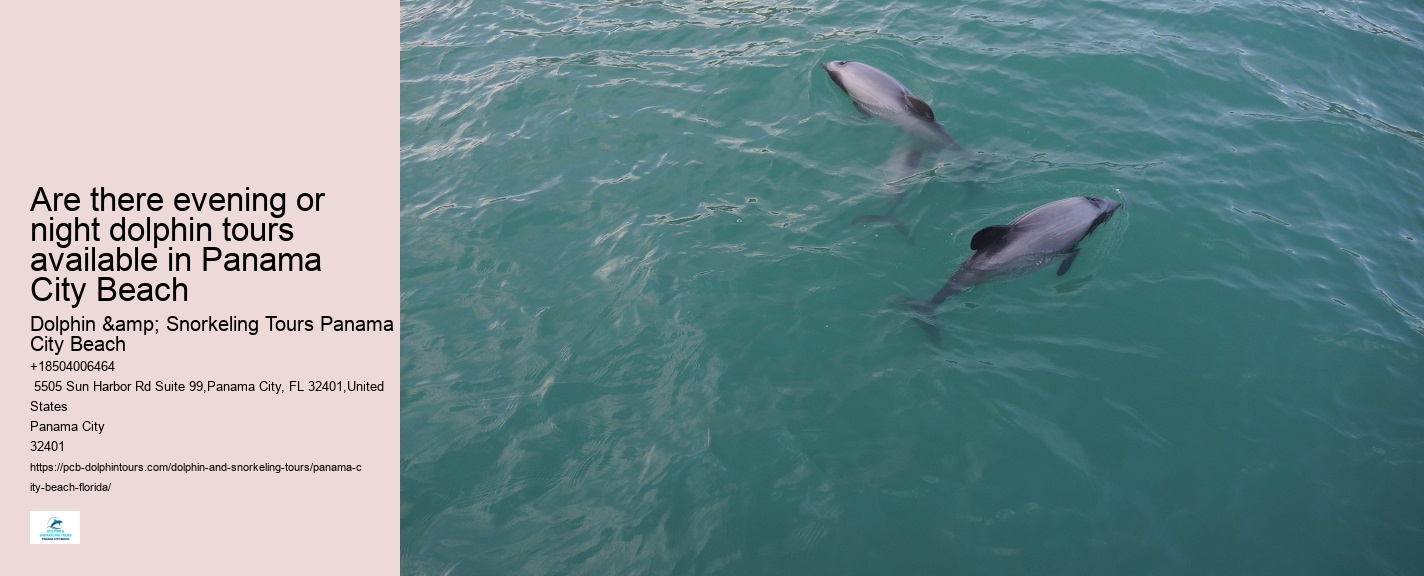 Panama City Beach dolphin adventure tours