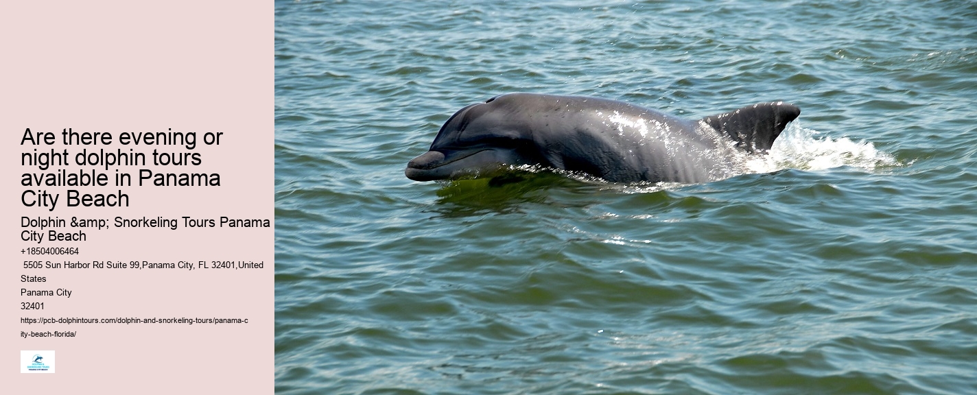 Panama City Beach dolphin discovery experiences