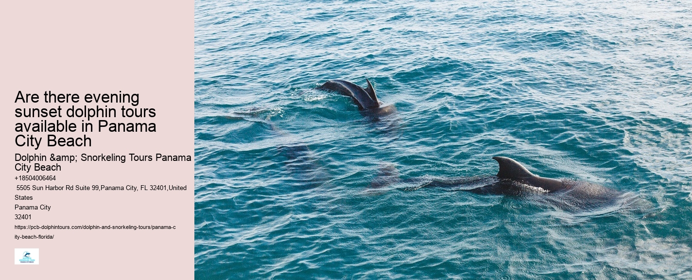 Panama City Fl Boat Tours