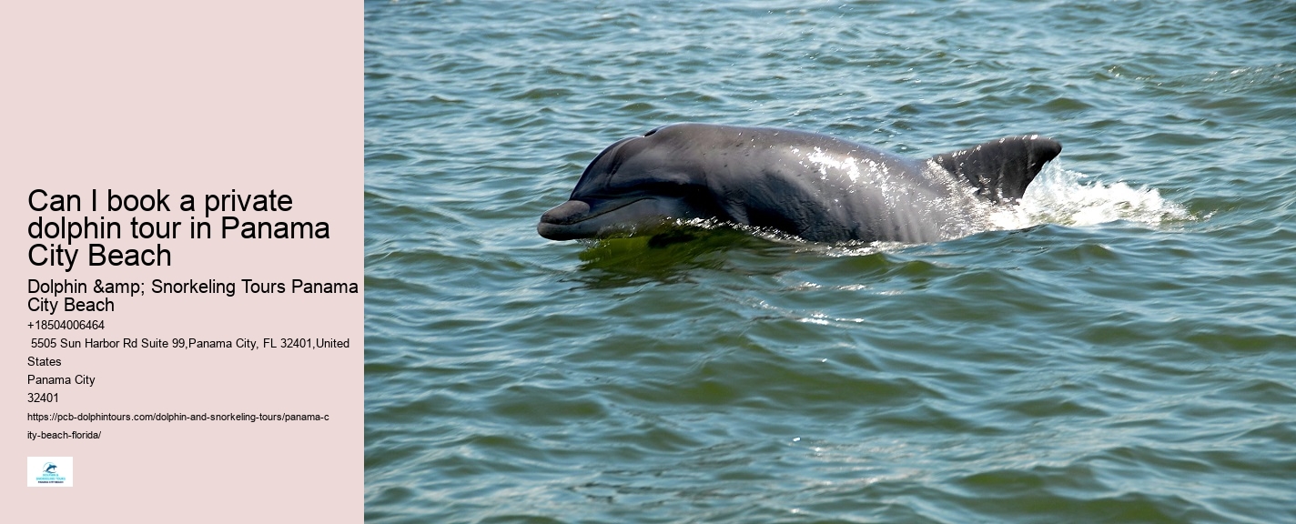 Dolphin Tours Near Me