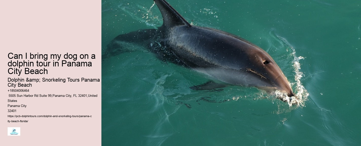 Dolphin & Snorkeling Tours Panama City Beach