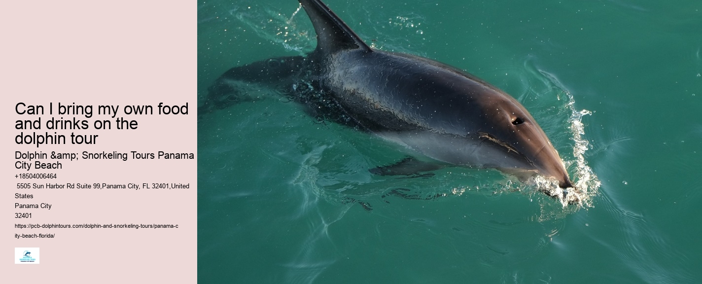 Panama City Beach Dolphin Trips