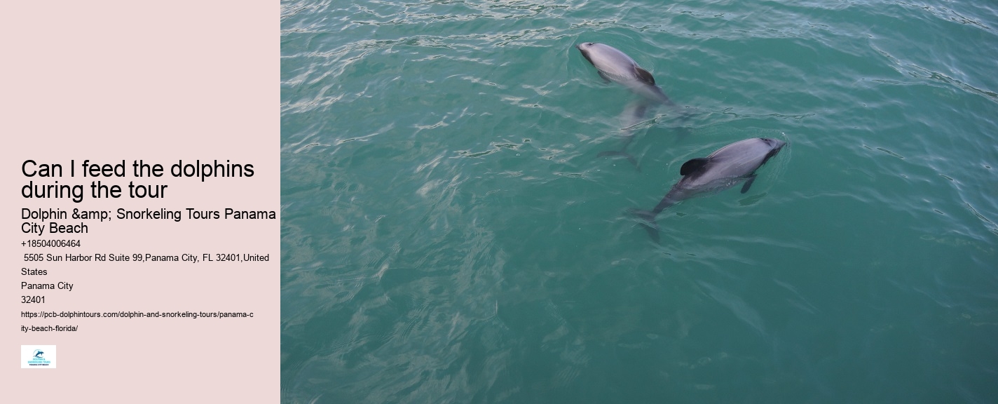 Dolphin Tours Panama City Beach Jet Ski