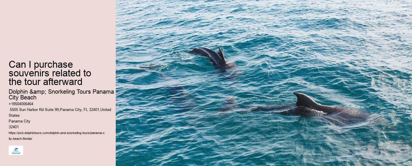 How Much Does It Cost To Swim With The Dolphins At Panama City Beach