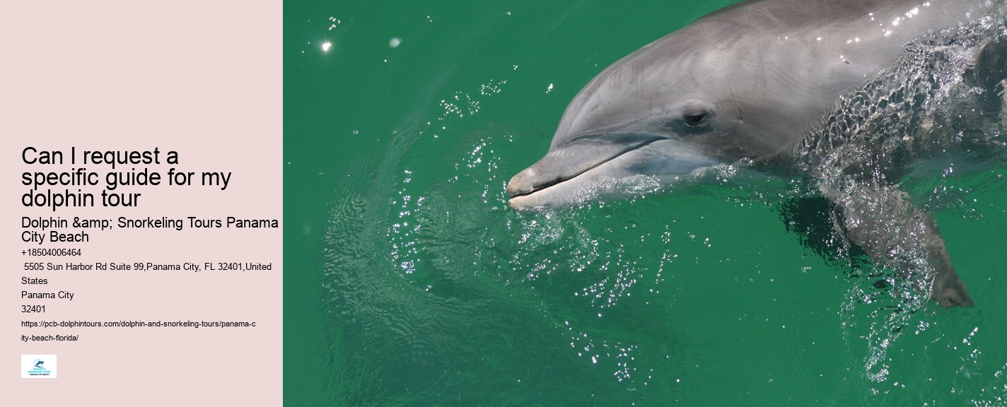 What is the best time of year to go on a dolphin tour in Panama City Beach