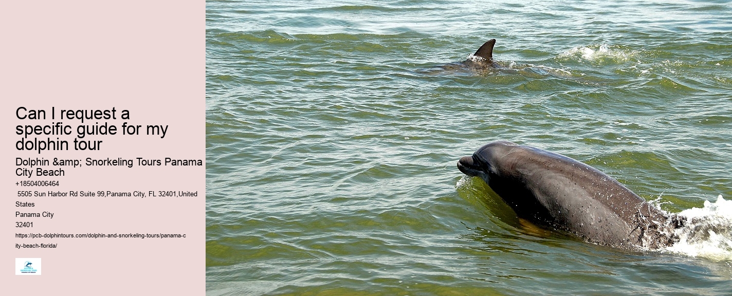 9 Great Dolphin Tours In Panama City Beach