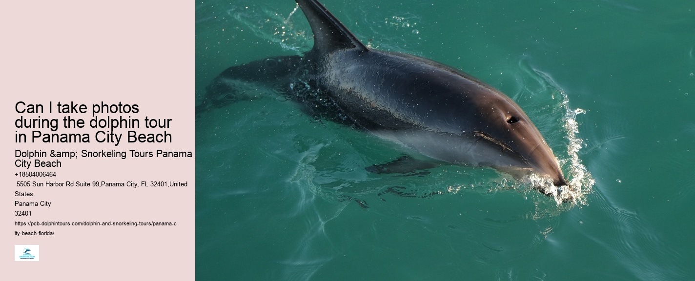 Panama City Beach dolphin discovery cruises