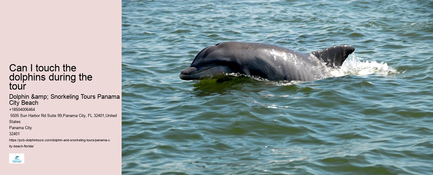 How far in advance should I book a dolphin tour in Panama City Beach