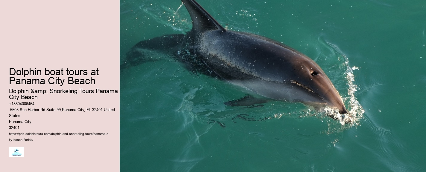 Panama City Beach Dolphin Cruises
