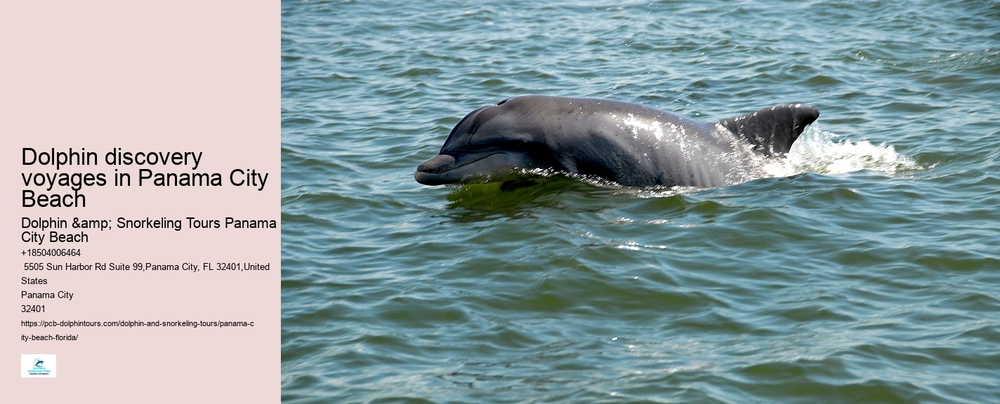 Whale Watching