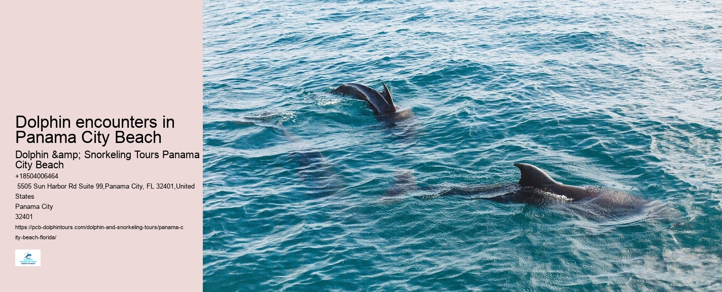 Water Planet Dolphin Swim Tours Panama City Beach Fl