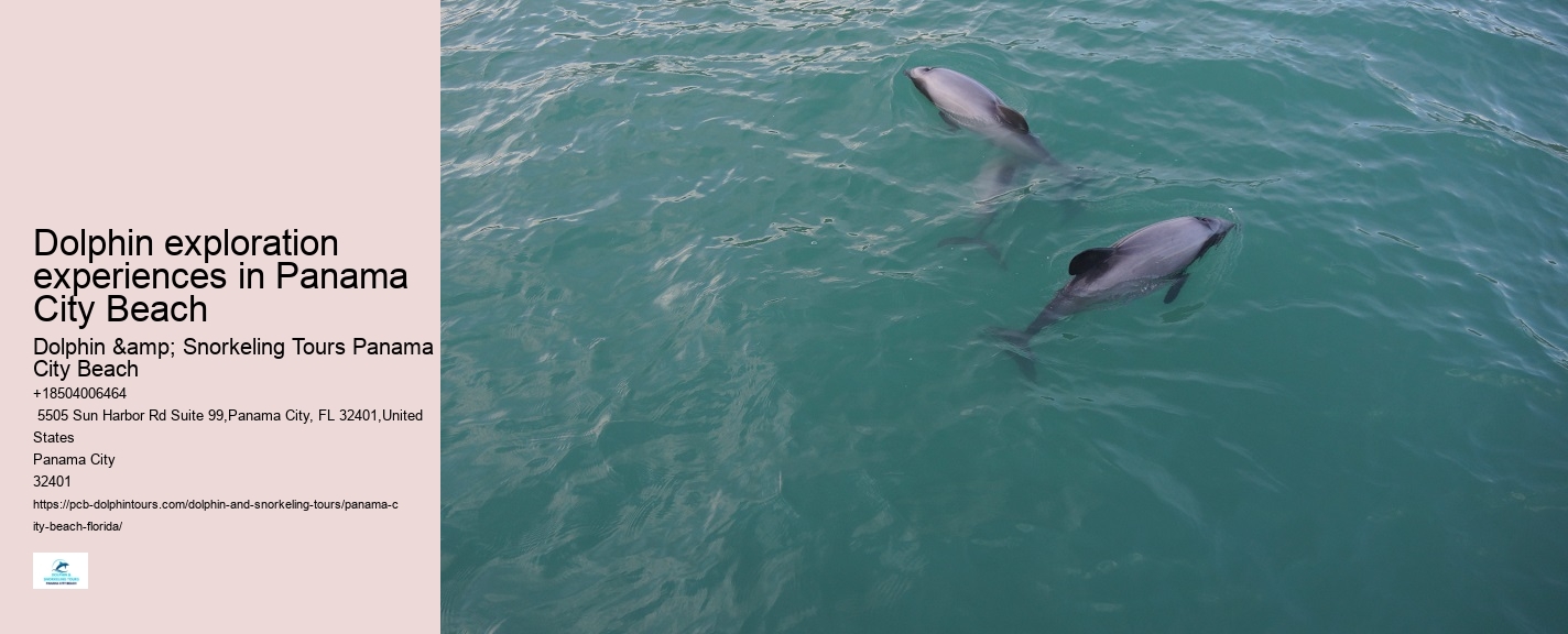 PCB Dolphin Discovery Excursions