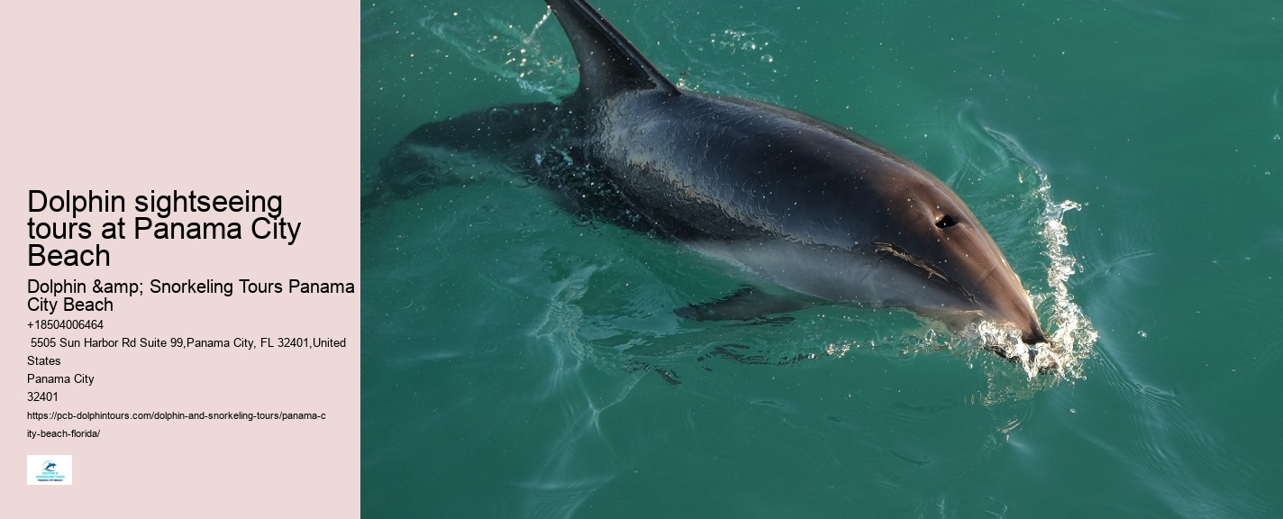 Dolphin sightseeing tours at Panama City Beach