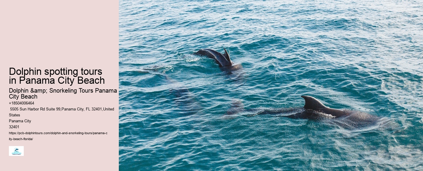 Dolphin Safari Adventures in PCB