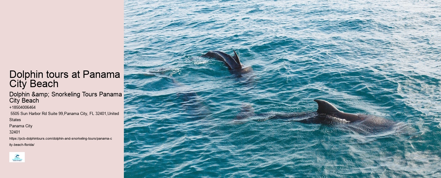 Can I touch the dolphins during the tour