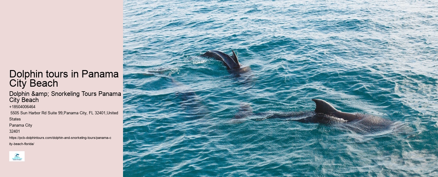 PCB Dolphin Tours