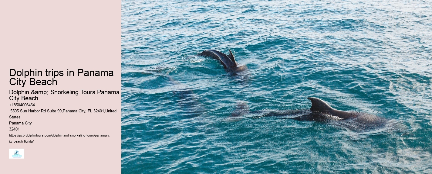 Panama City Beach wildlife tours including dolphins