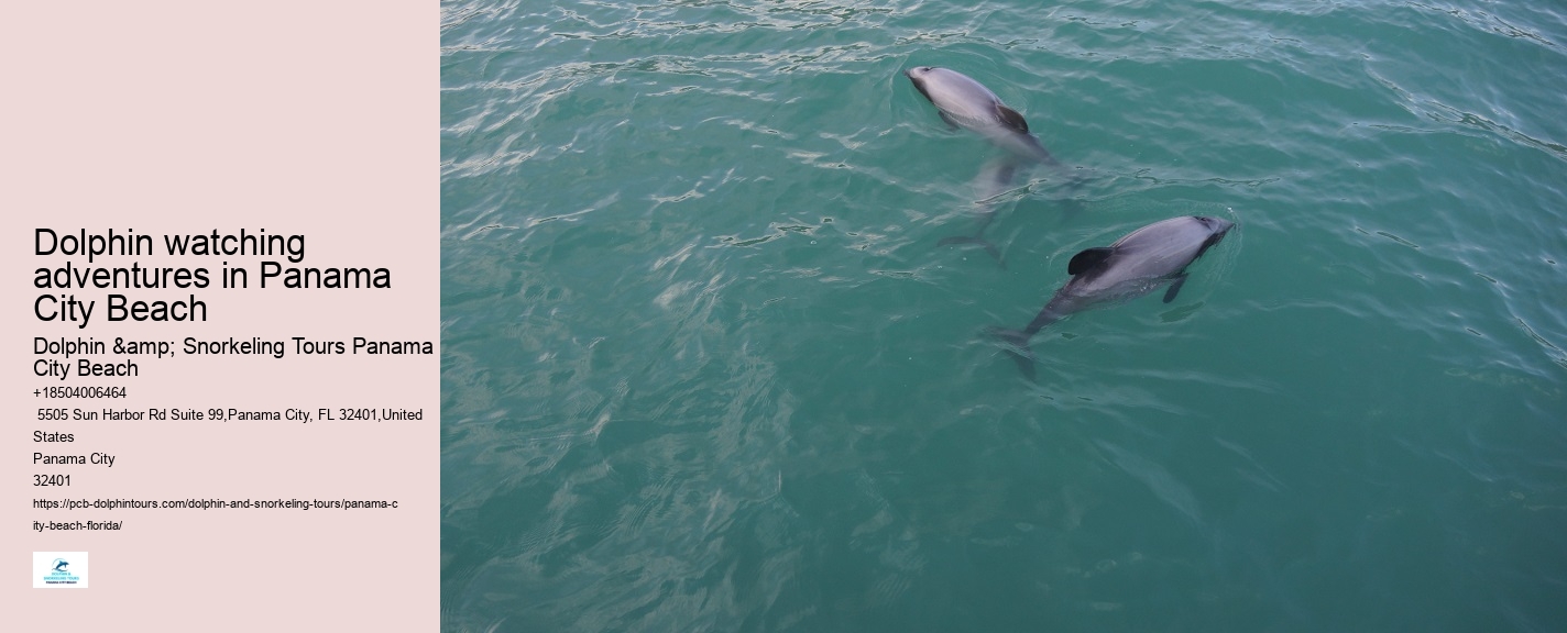 Dolphin sightseeing tours at Panama City Beach