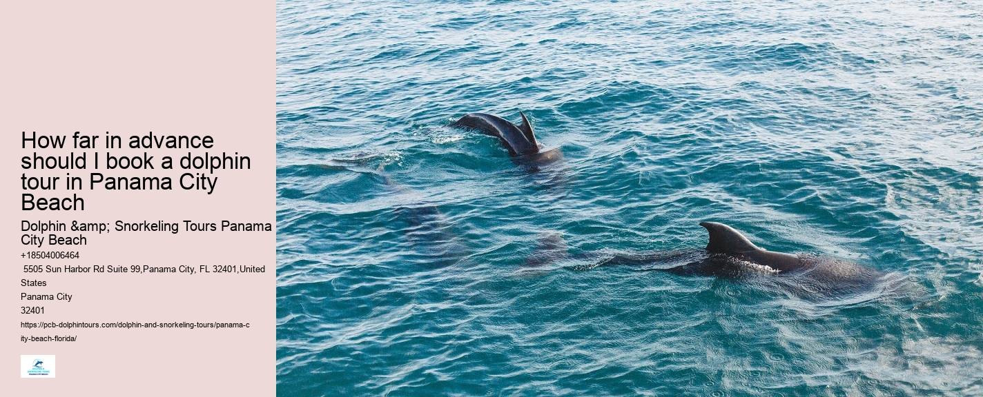 Are Panama City Beach dolphin tours educational