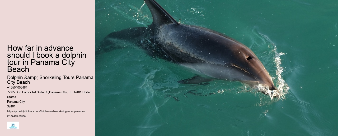 Panama City Beach dolphin watching trips