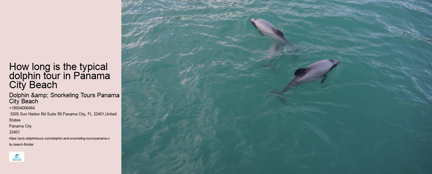 Dolphin And Snorkeling Tours In Panama City Beach
