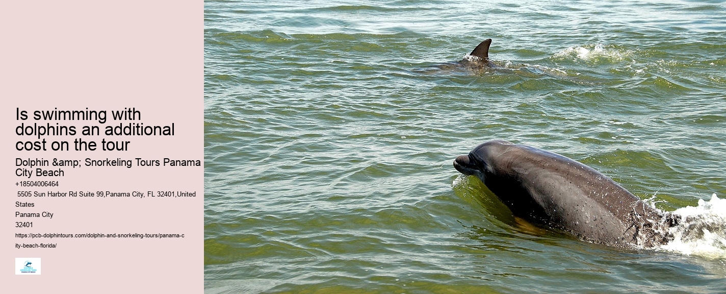 Can I touch the dolphins during the tour