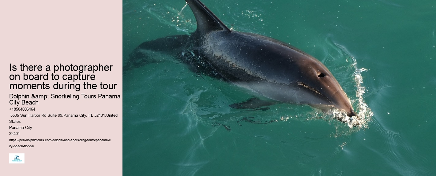 Sea Screamer Panama