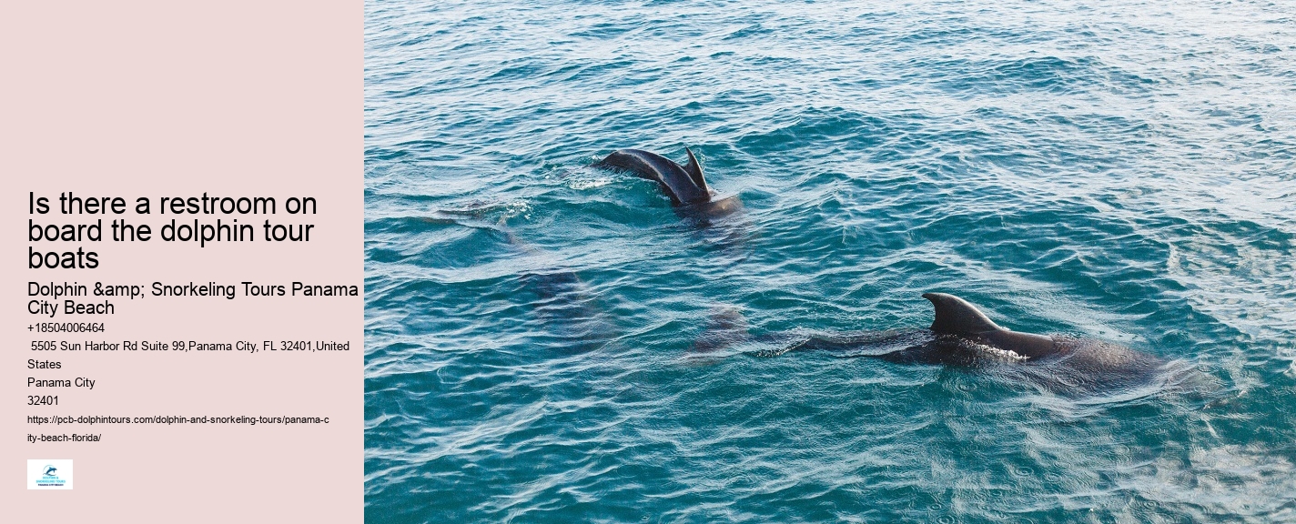 Dolphin watching excursions at Panama City Beach