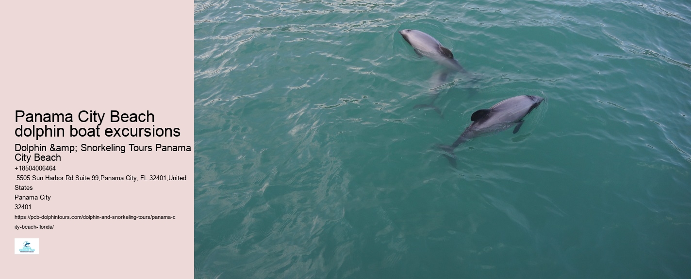 Top Panama City Beach Dolphin Watching