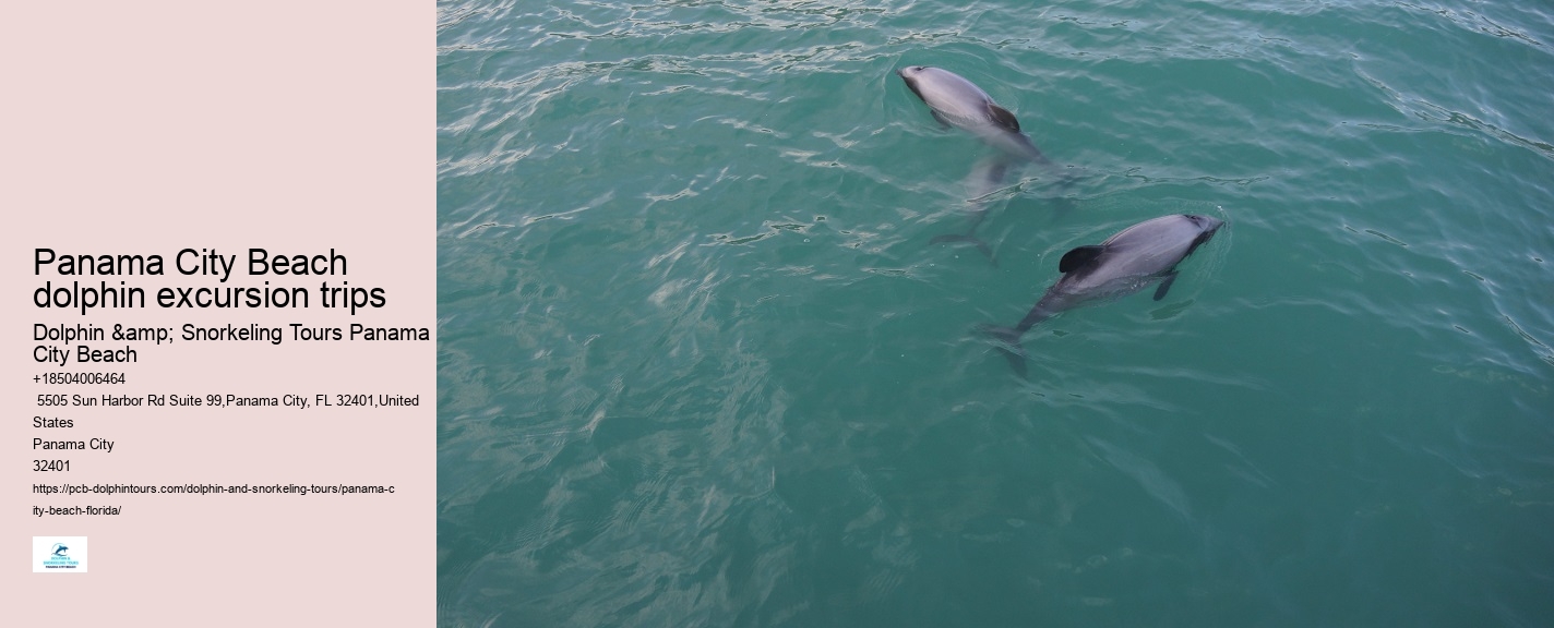 Dolphin Excursions at PCB