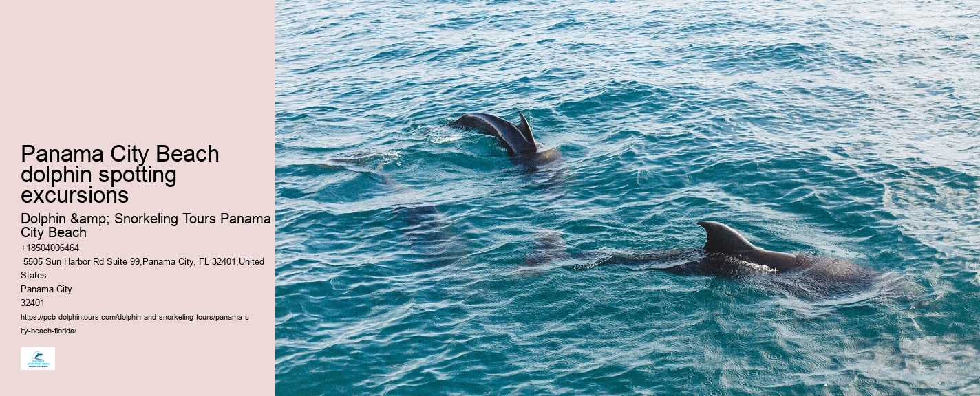 How Much Does Dolphin Cove Cost
