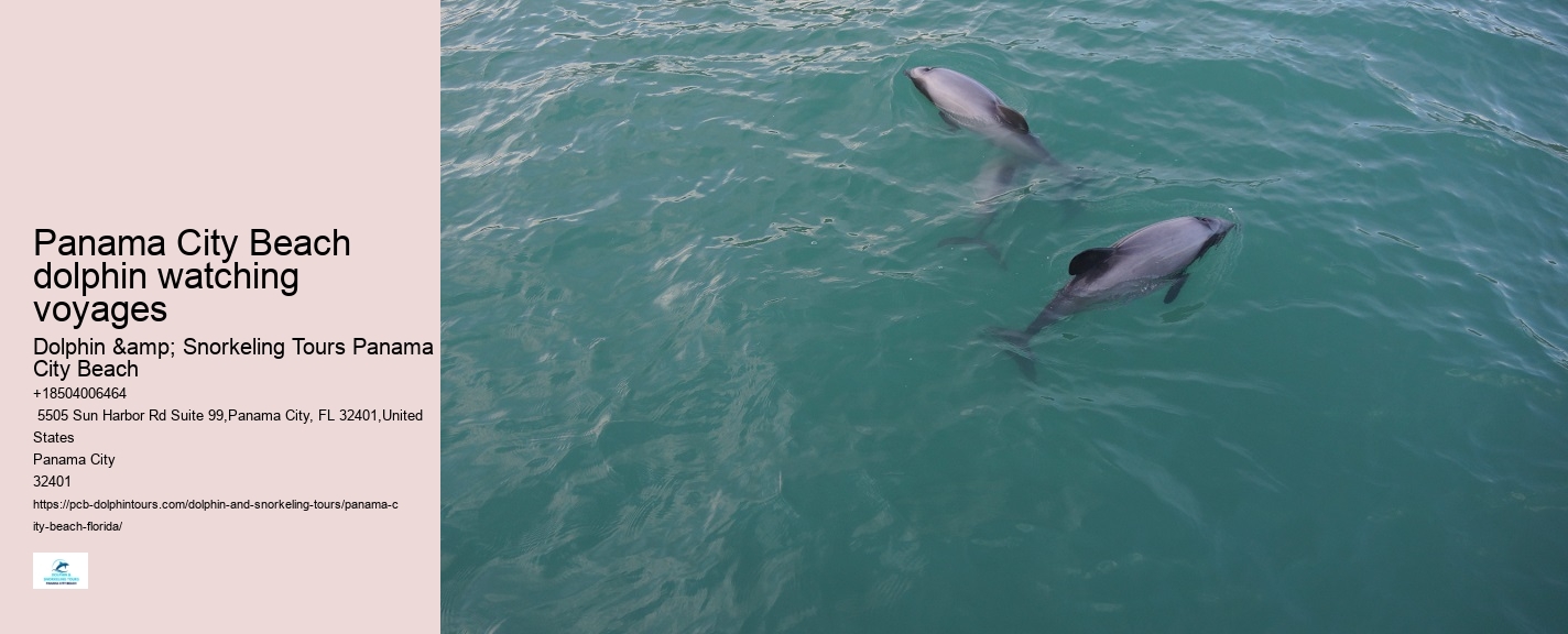 Dolphin tours in Panama City Beach