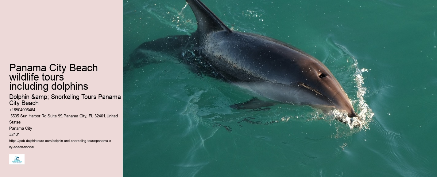 Panama City Beach wildlife tours including dolphins