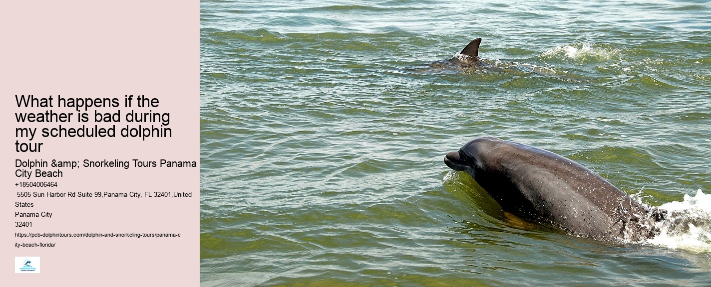 Dolphin Adventure Excursions in PCB